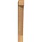 Ekena Millwork Traditional Block Smooth Bracket, Western Red Cedar, 3 1/2"W x 16"D x 28"H BKT04X16X28TRA05SWR - alternate 3